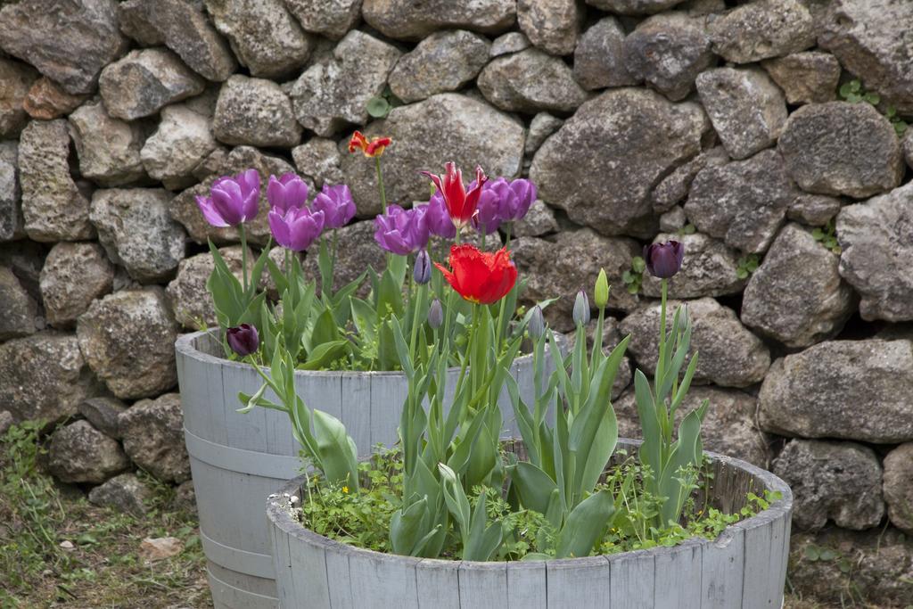 Agriturismo Borgo Personatina Sovicille Εξωτερικό φωτογραφία